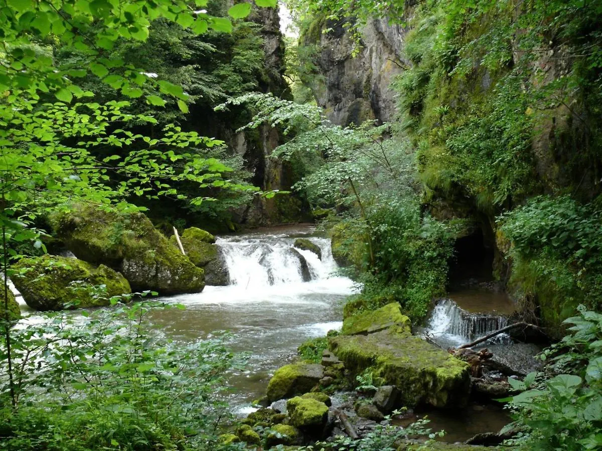 Maison De Charme Avec Jardin, Proche Station Super-Lioran, Ideale Pour Famille Et Activites Nature - Fr-1-742-467 Thiézac