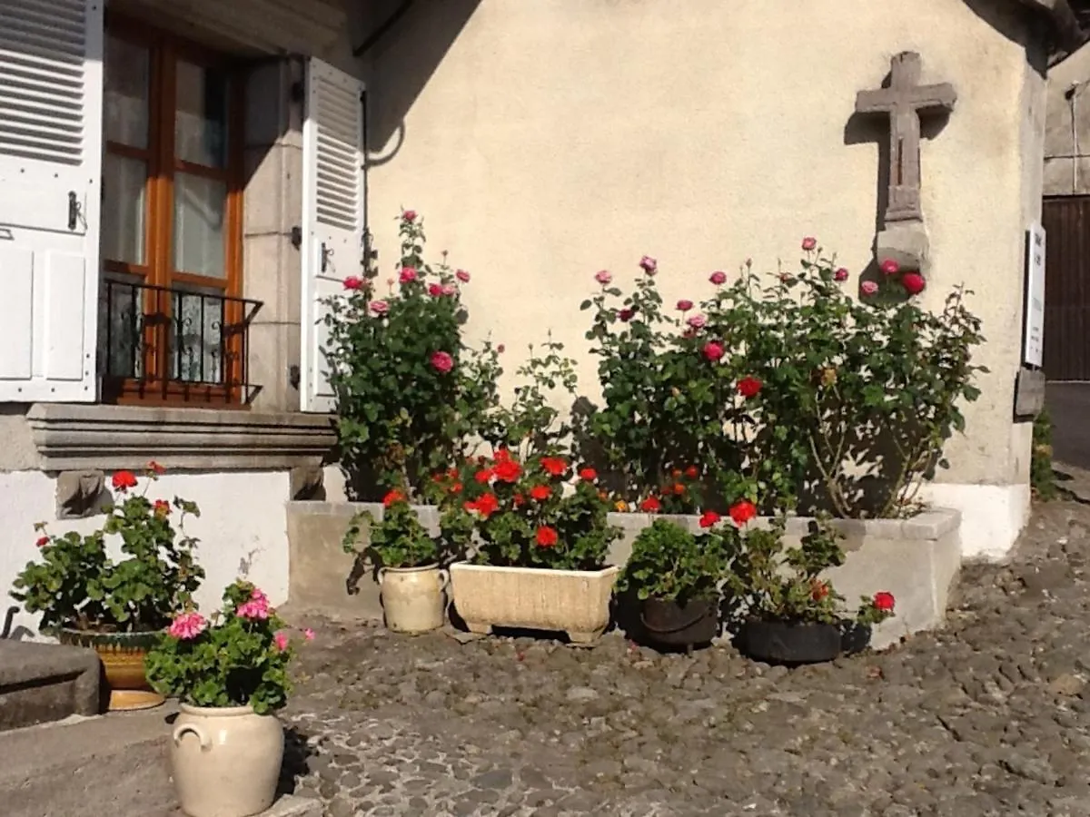 Maison De Charme Avec Jardin, Proche Station Super-Lioran, Ideale Pour Famille Et Activites Nature - Fr-1-742-467 Thiézac Prázdninový dům